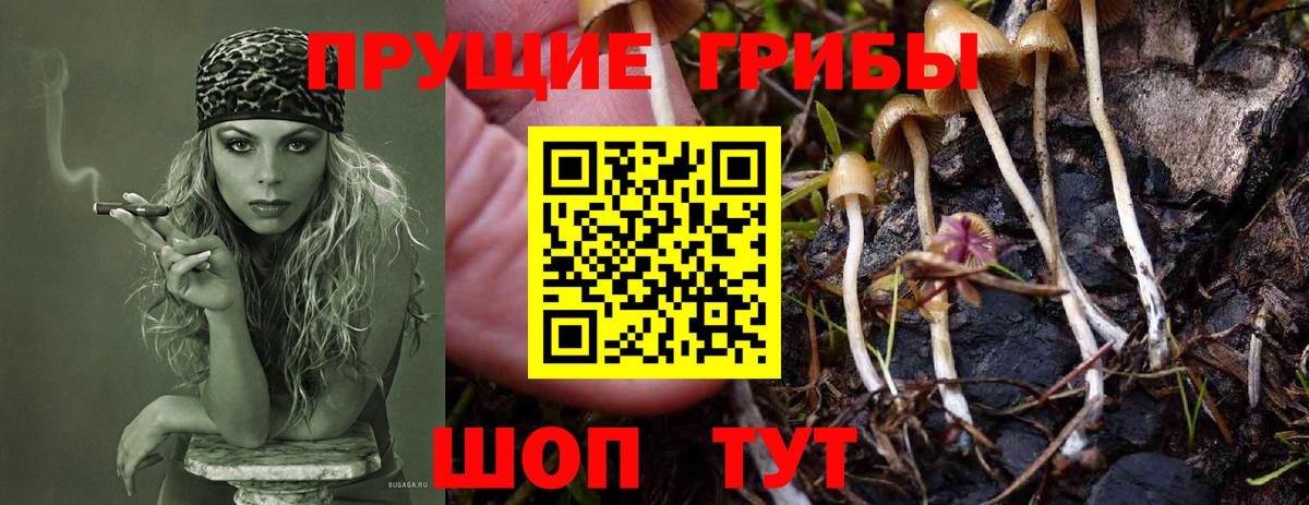 Псилоцибиновые грибы прущие грибы  Галлюциногенные грибы GOLDEN TEACHER  Михайловка  Вход с VPN 